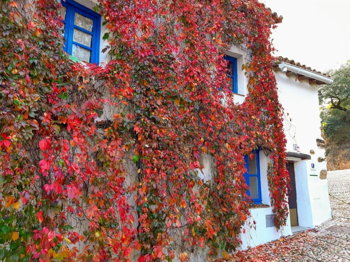Casita Collado 1 Villa Alájar Buitenkant foto